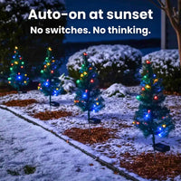 Solar Christmas Tree Lights™