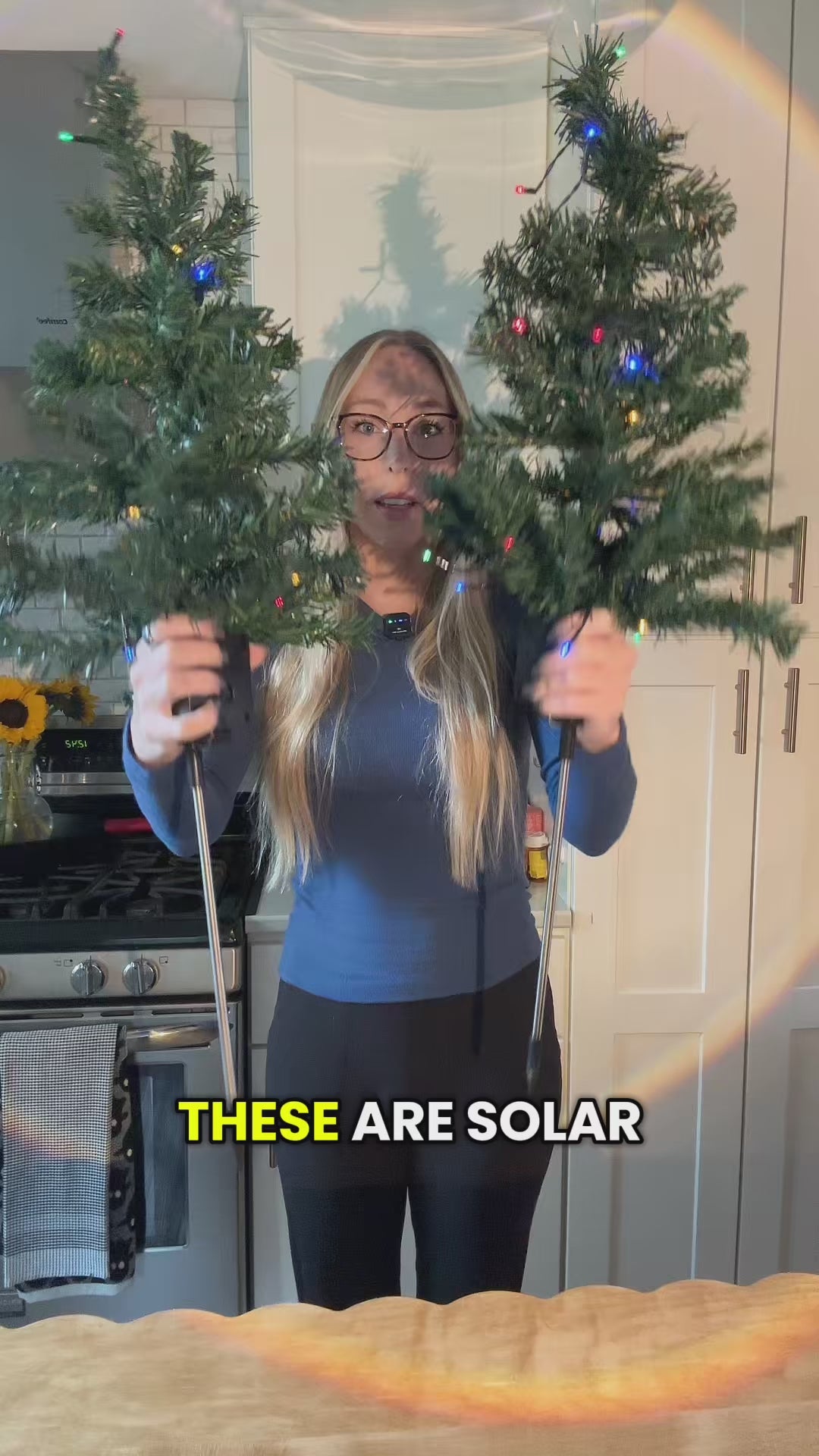Solar-Powered Christmas Tree Lights™ video