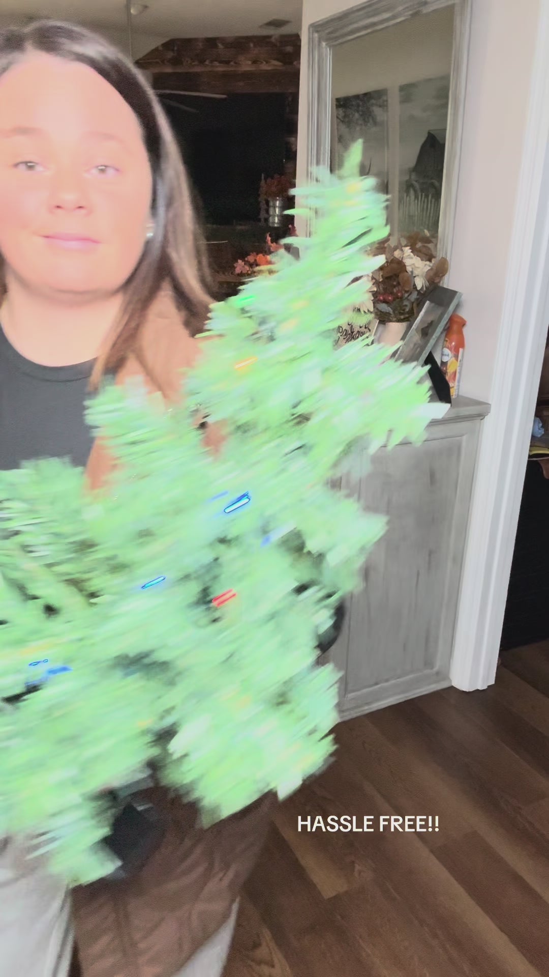 Solar-Powered Christmas Tree Lights™ video